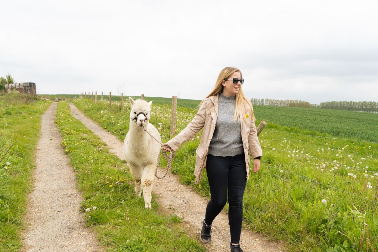 Alpaca Trekking and Entry to Eagle Heights Wildlife Foundation for Two