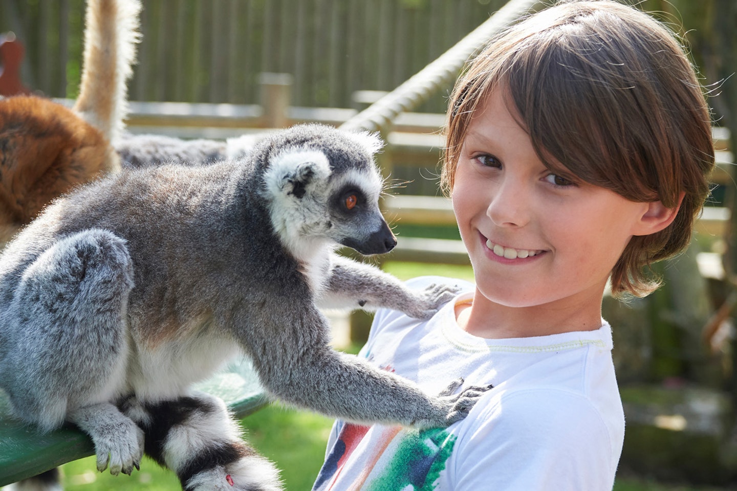 Animal Encounter at Drusillas Park