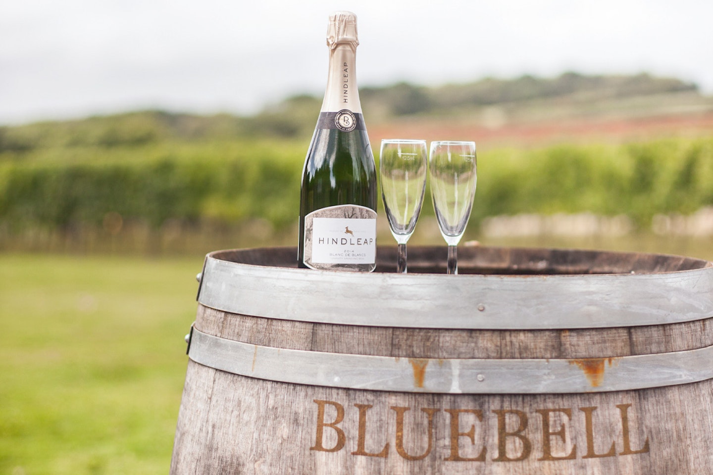 Bluebell Vineyard Estates Tour with Cheese and Wine Tasting for Two