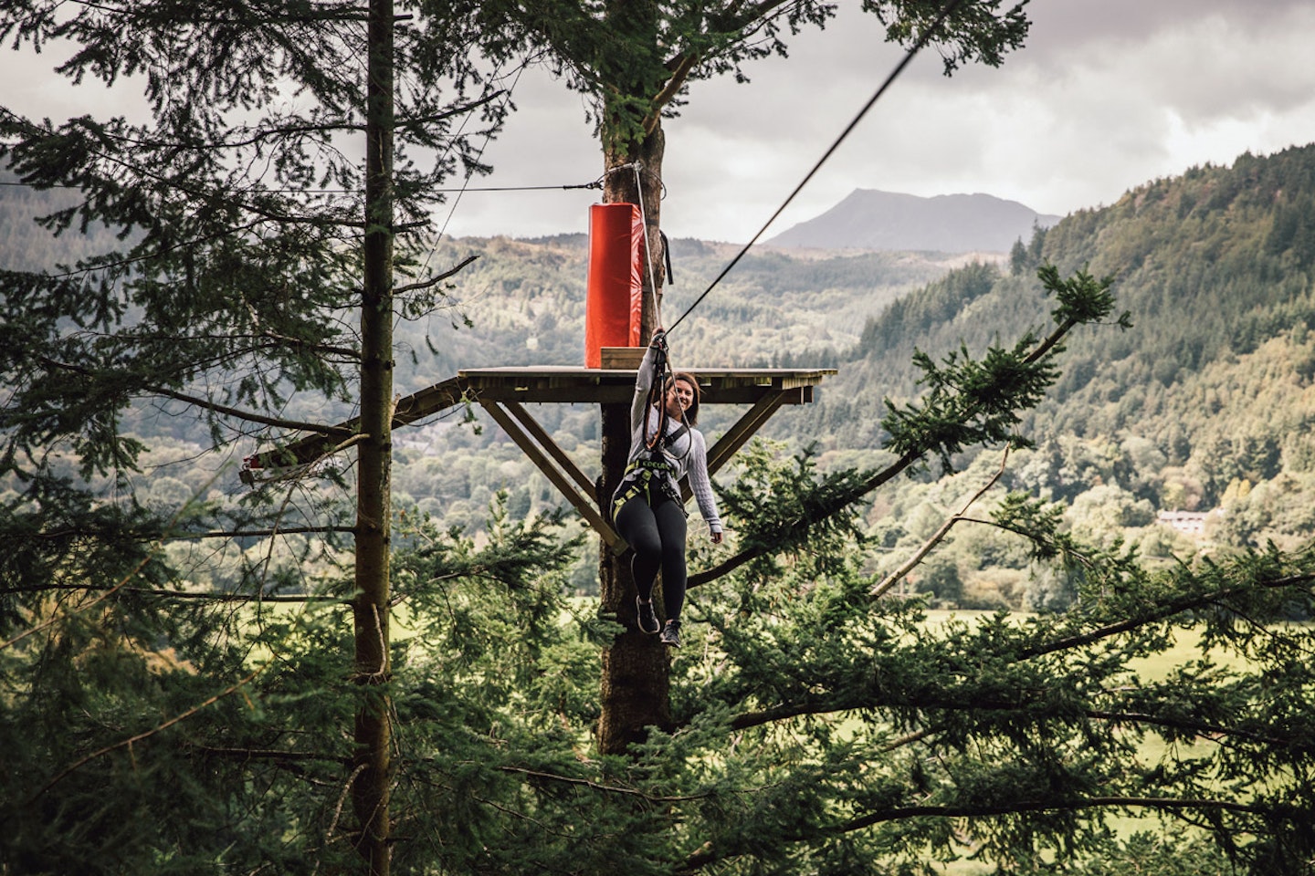 Fforest Zip Safari at Zip World