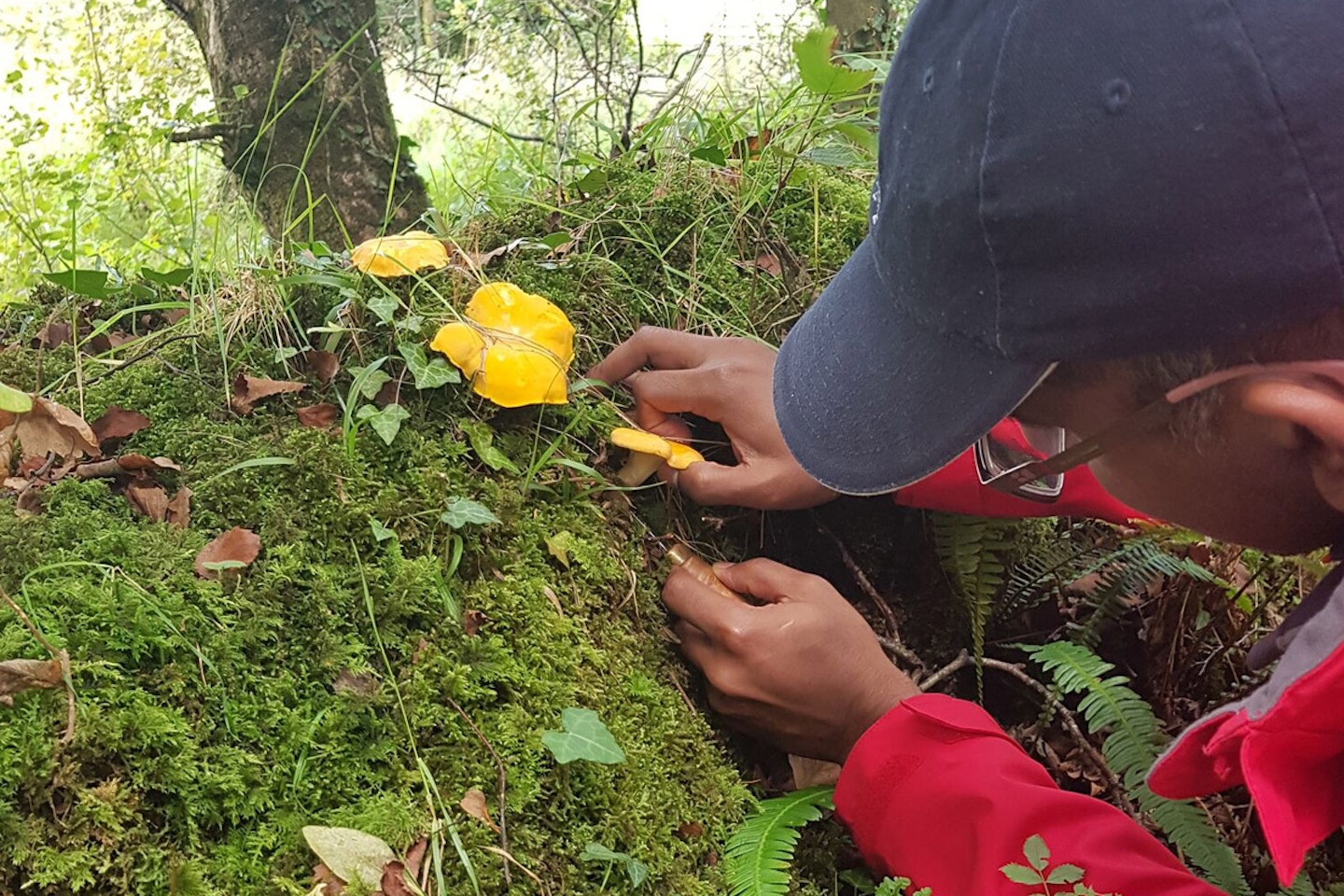 Full Day Foraging and 7 Course Dinner for Two