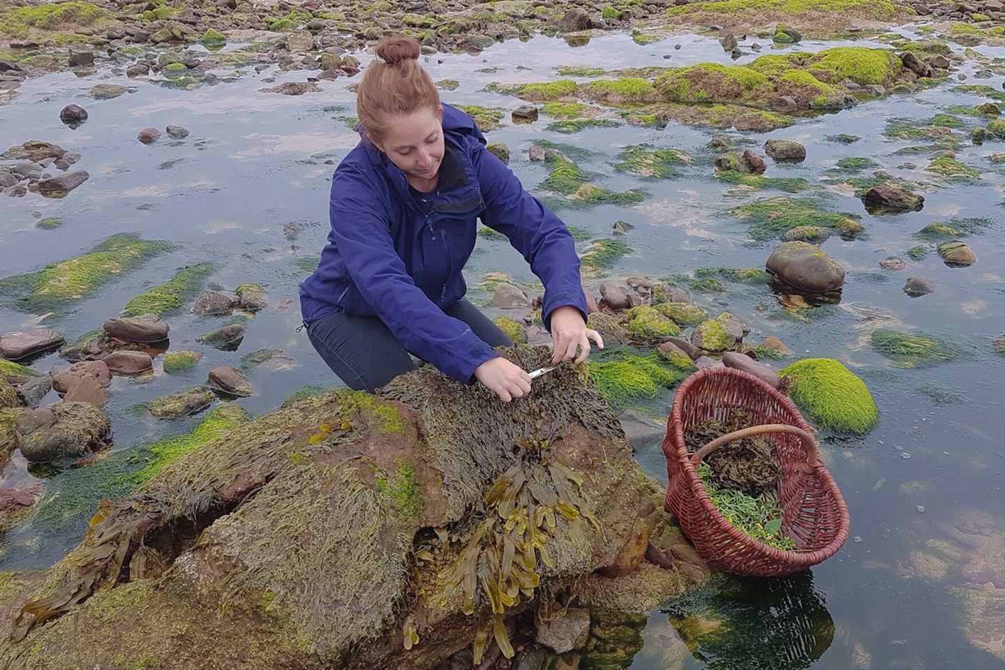 Full Day Foraging and 7 Course Dinner for Two