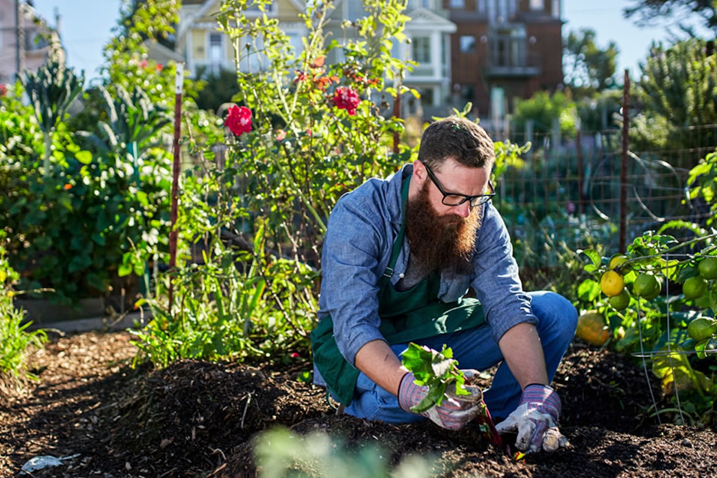 Garden Design and Maintenance Online Course