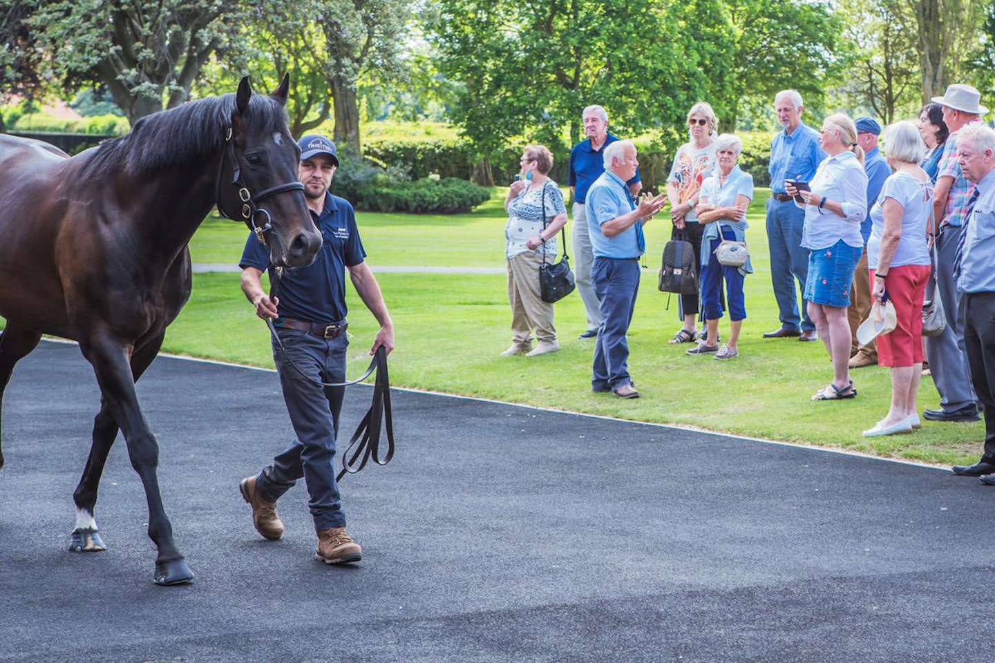 Horse Racing Lover's Experience with Behind the Scenes Half Day Guided Tour at Newmarket