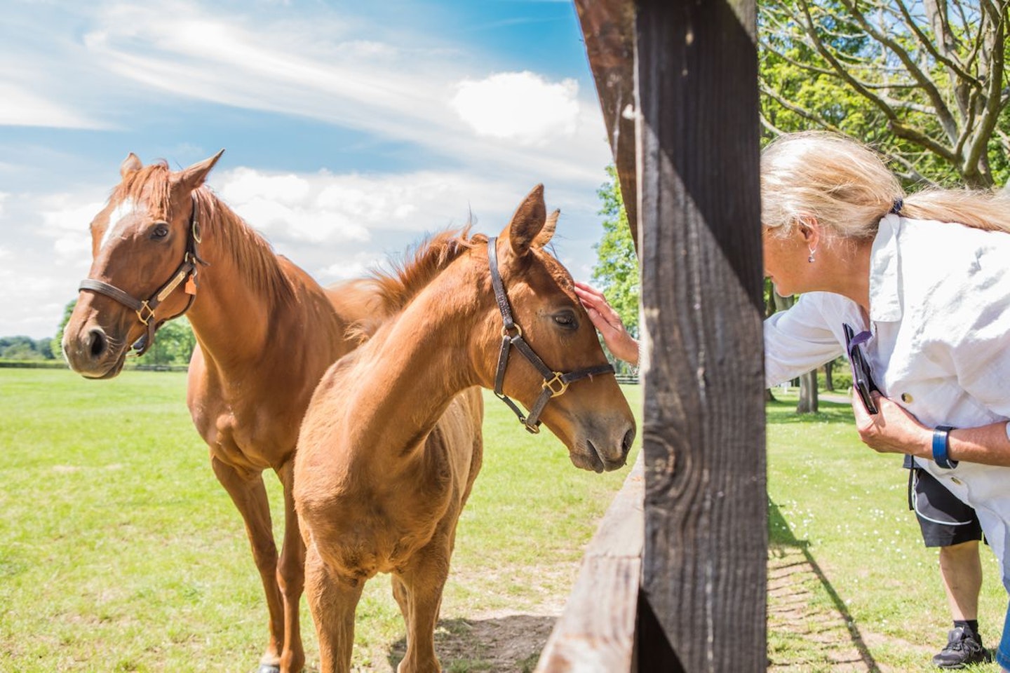 Horse Racing Lover's Experience with Behind the Scenes Half Day Guided Tour at Newmarket