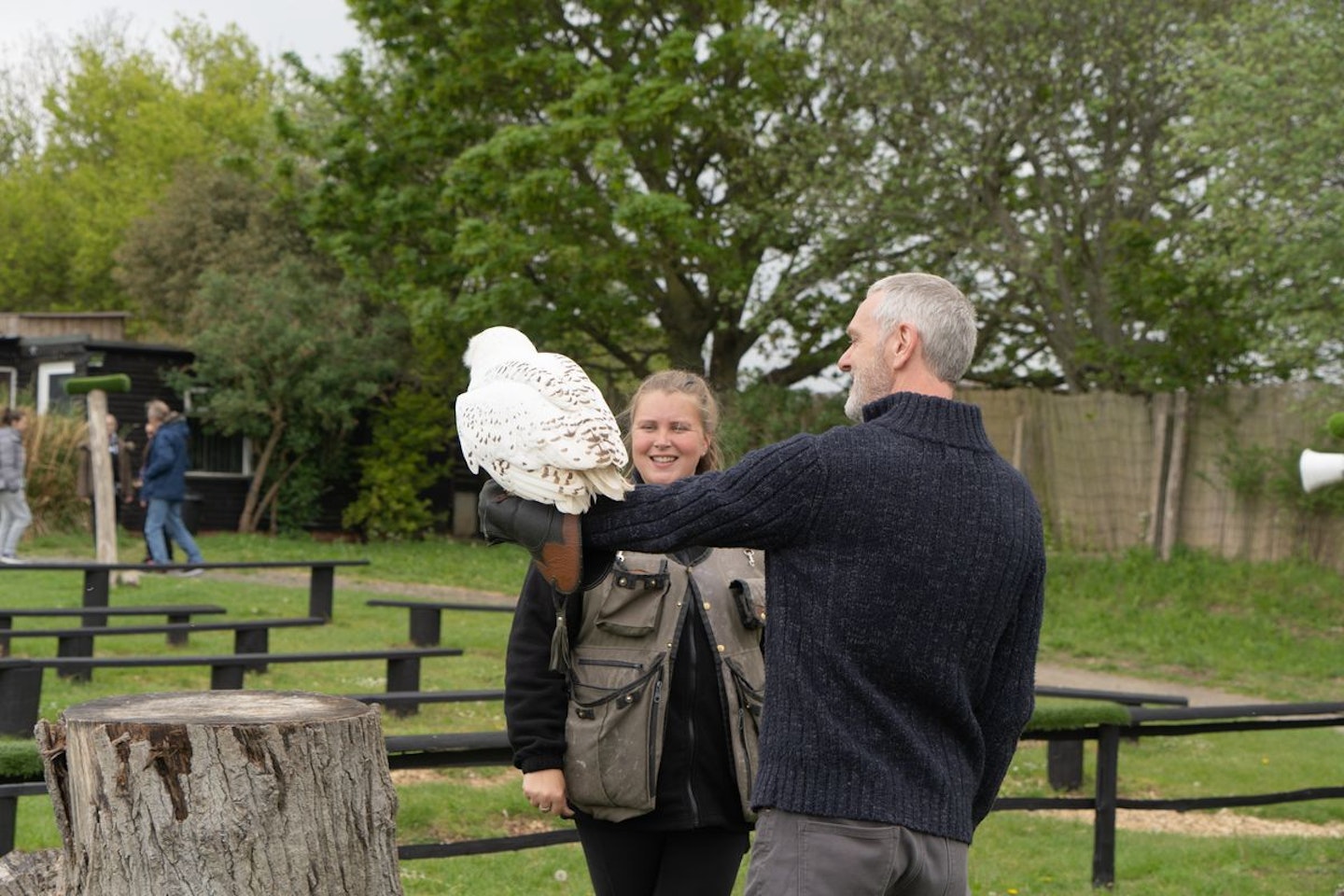 Introduction to Owl Handling for Two