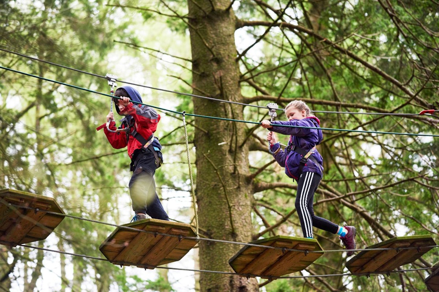 Junior Tree Top Adventure for Two with Go Ape