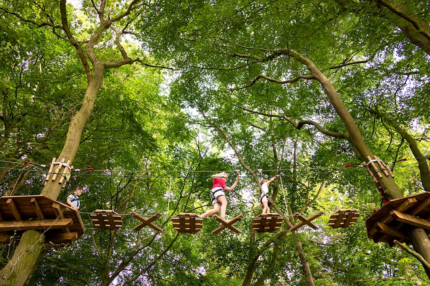 Junior Tree Top Adventure for One with Go Ape