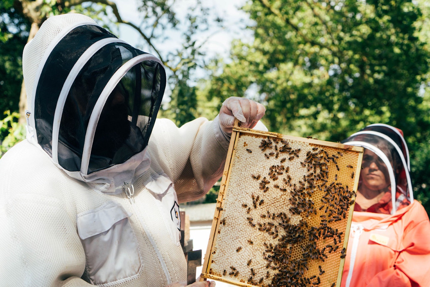 London Beekeeping and Craft Beer Tasting