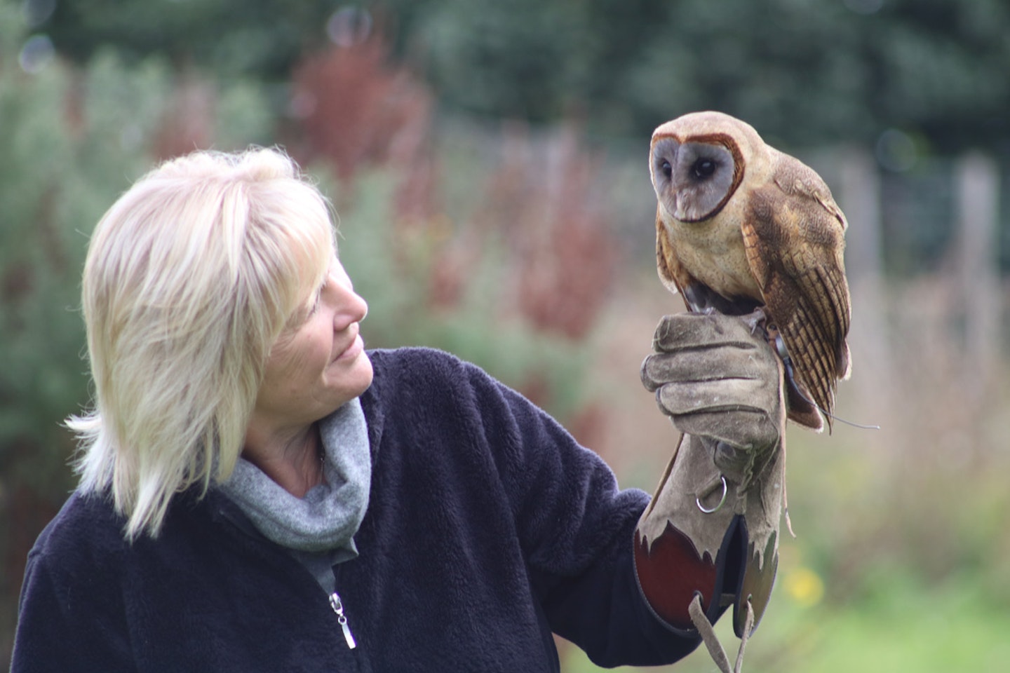 One Hour Private Owl Encounter for Two at Millets Falconry