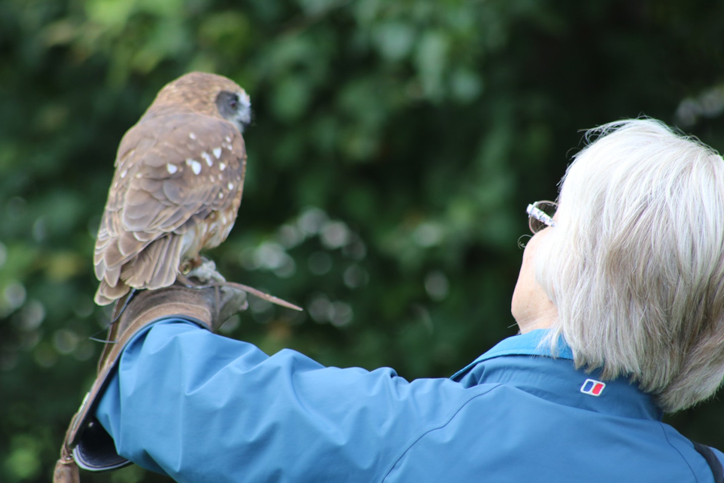 One Hour Private Owl Encounter for Two at Millets Falconry