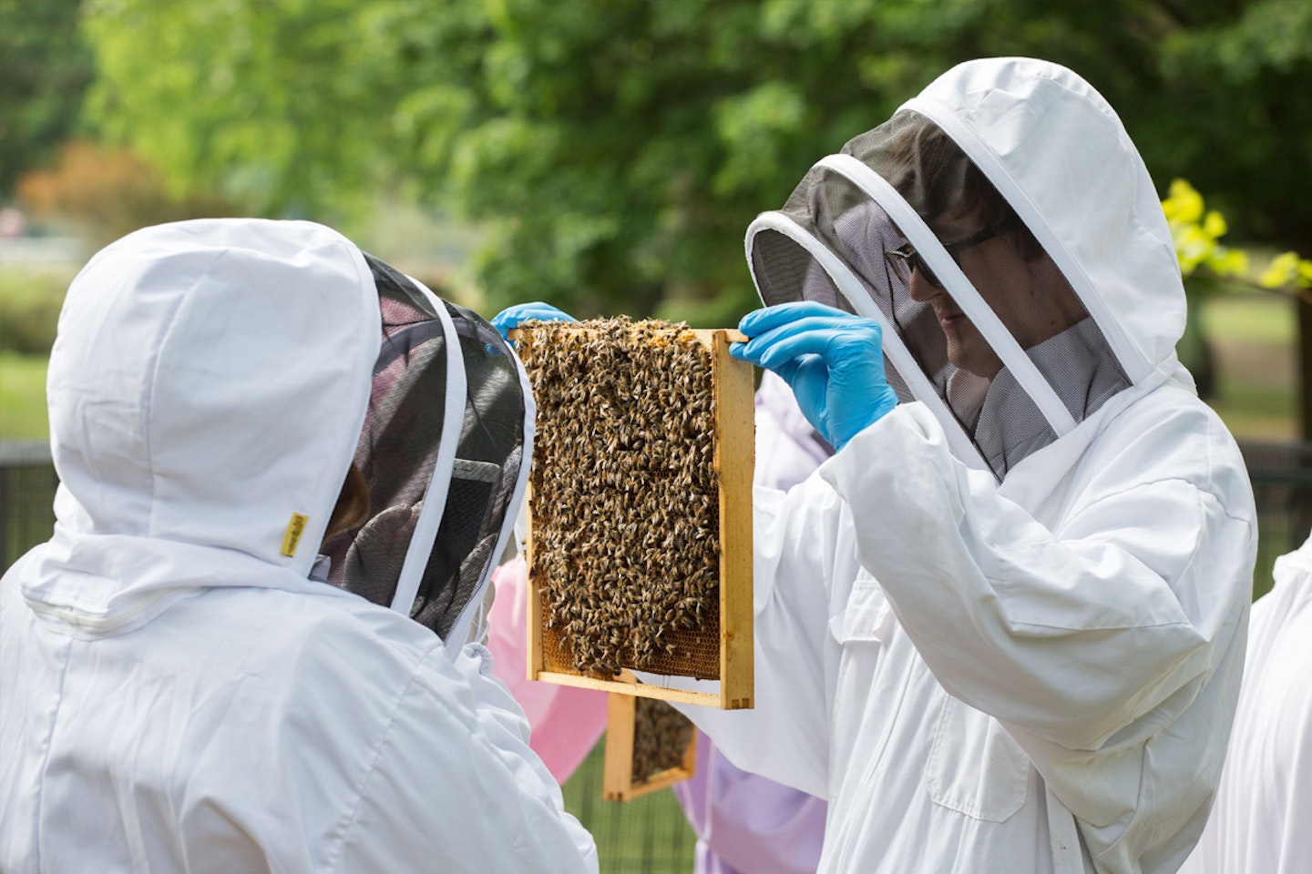 Rural Beekeeping and Honey Craft Beer Tasting for Two