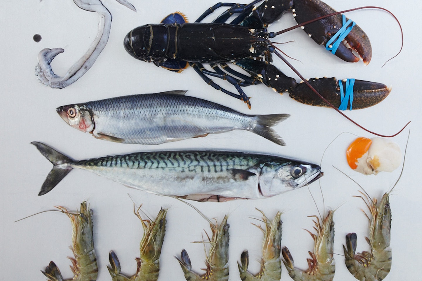 The Ultimate Fish and Shellfish Cookery Class at the Cookery School, Little Portland Street