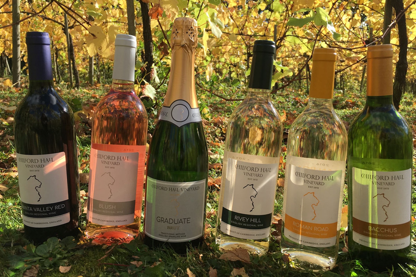 Tour and Tasting with Lunch for Two at Chilford Hall Vineyard