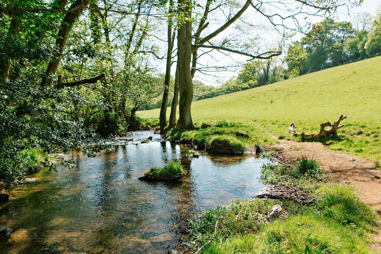 Two Night Midweek Break in a Luxury Persian Tent for up to Five at Penhein Glamping