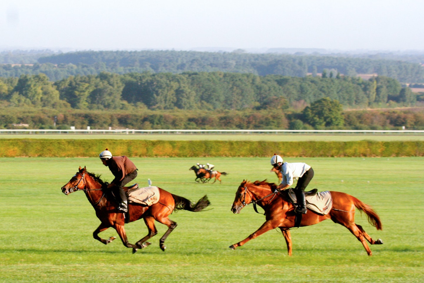 Ultimate Horse Racing Lover's Experience with Behind the Scenes Full Day Guided Tour for Two at Newmarket