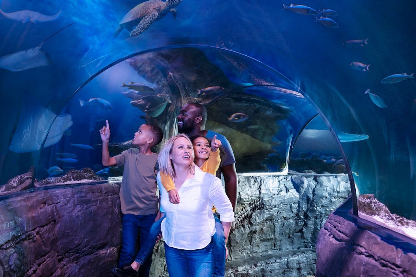 Visit to SEA LIFE London Aquarium for Two Adults and Two Children