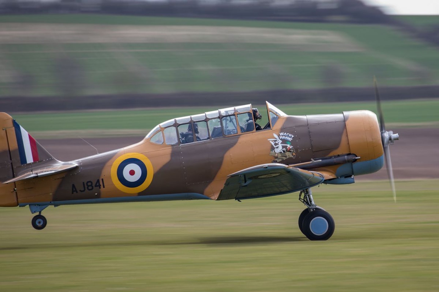 Warbird T-6 Harvard Introductory Flight with Basic Aerobatics