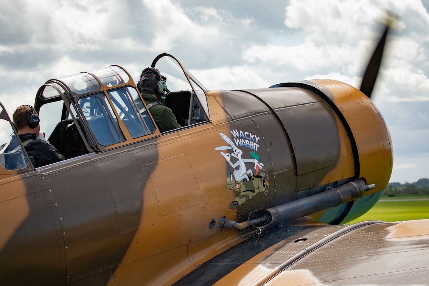 Warbird T-6 Harvard Introductory Flight with Basic Aerobatics