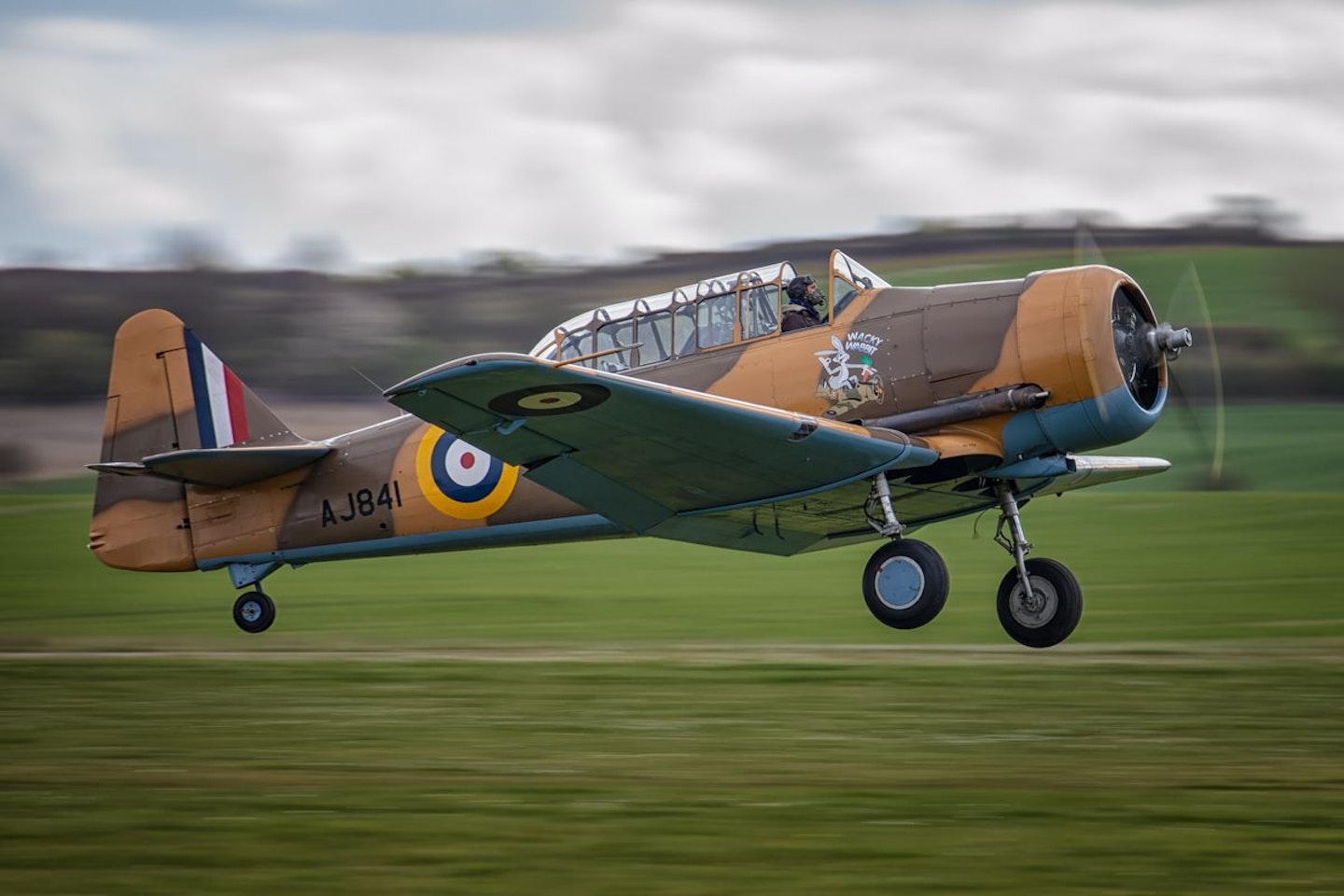 Warbird T-6 Harvard Introductory Flight with Extreme Aerobatics