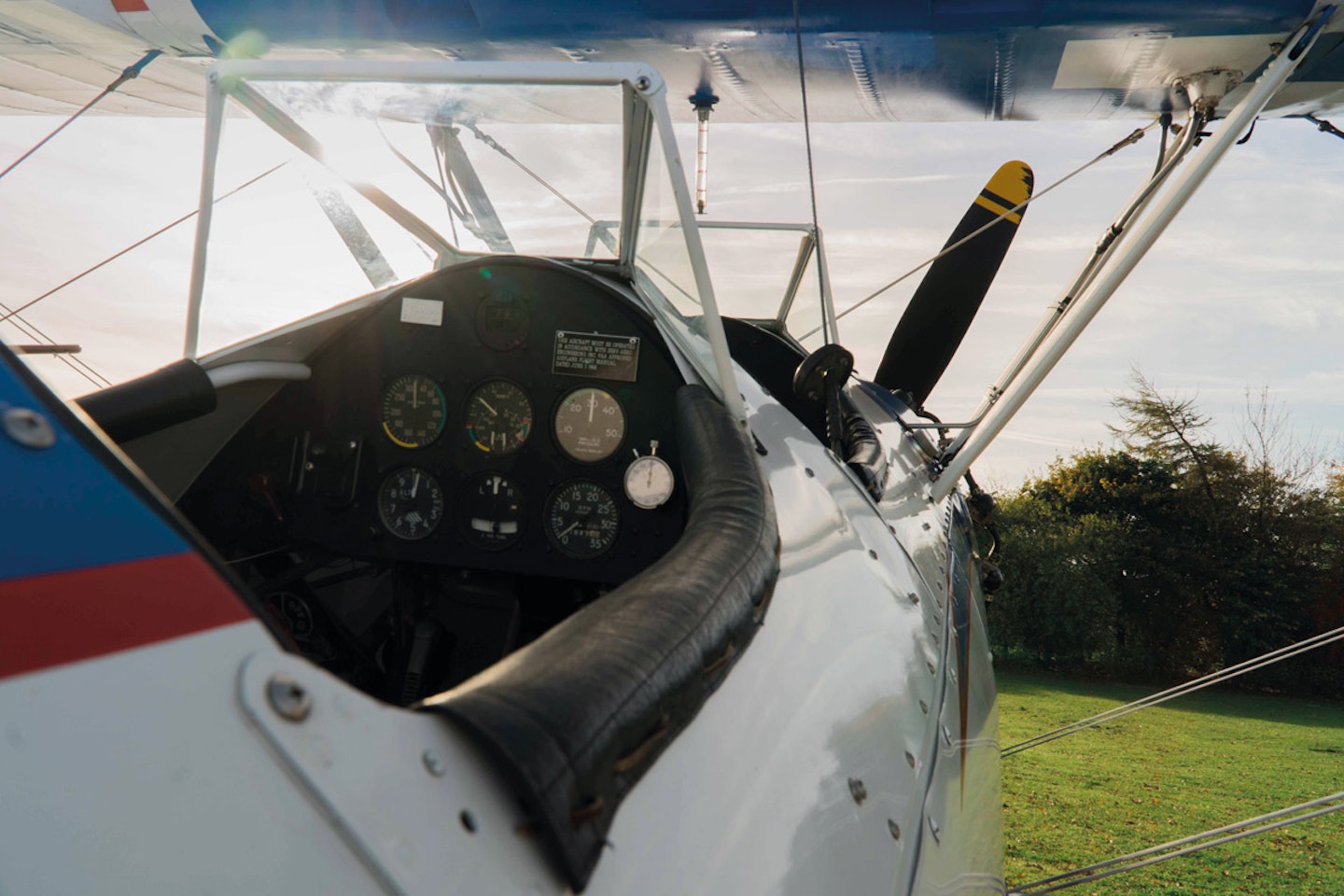 Wing Walking