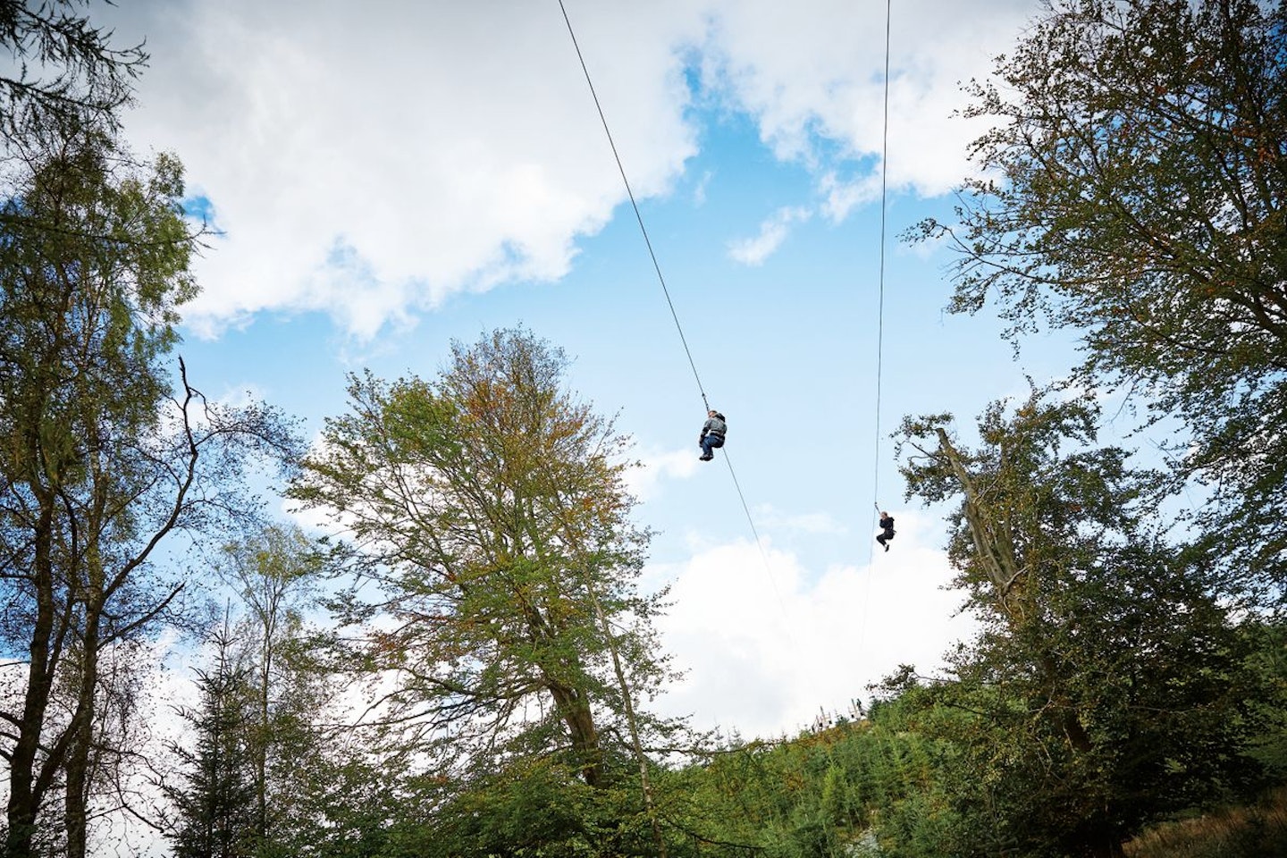 Zip Trekking Adventure for Two at Go Ape