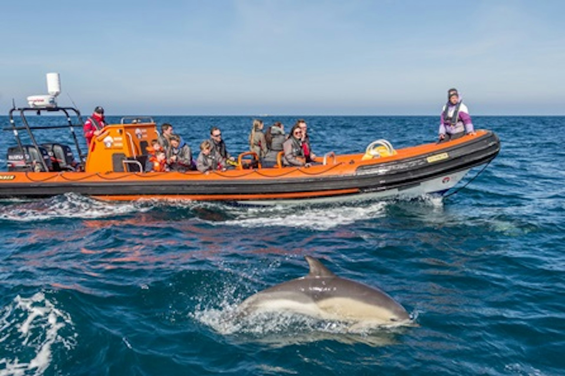 2 Hour Sealife Safari Boat Trip for Two Adults 2