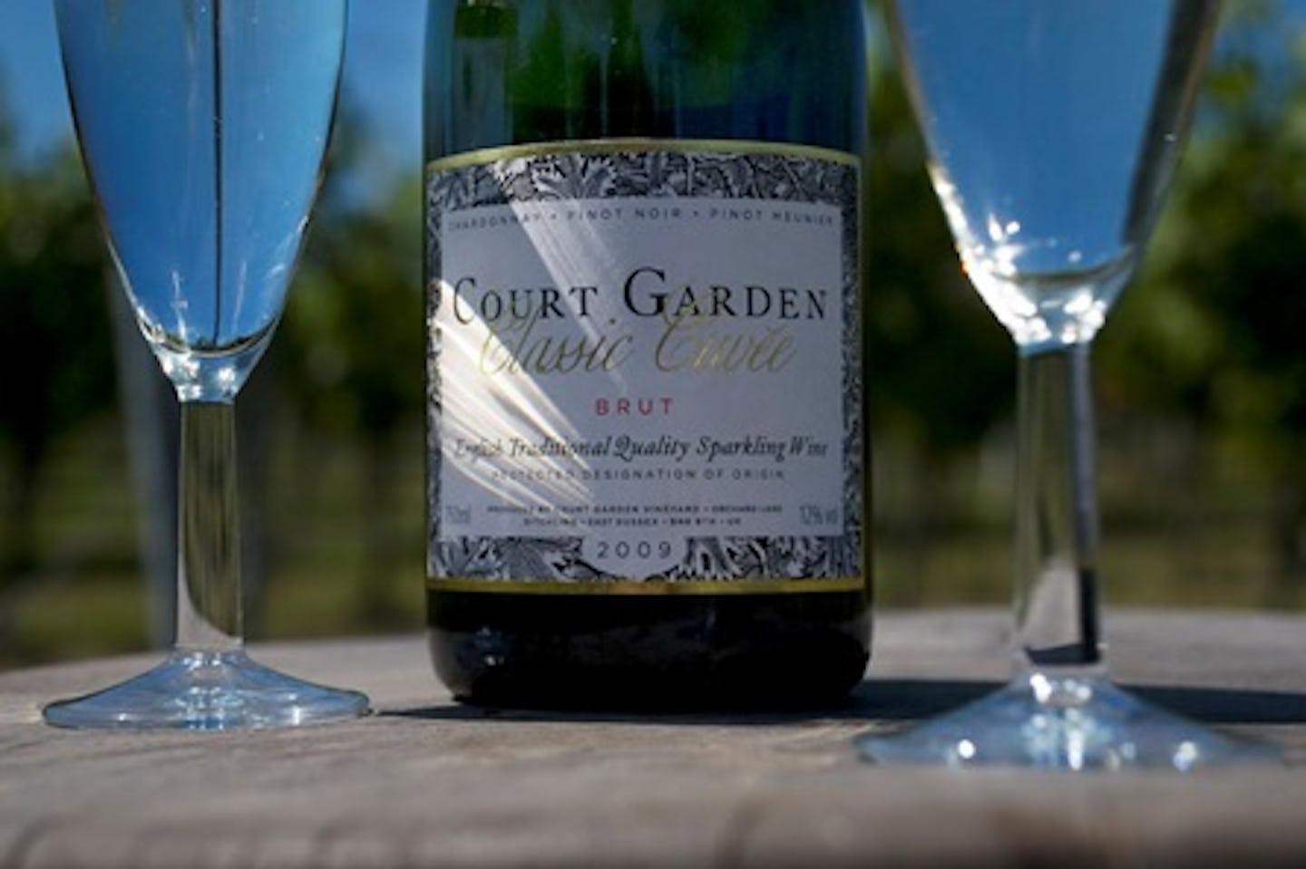 Sparkling Wine Tour with Tastings for Two