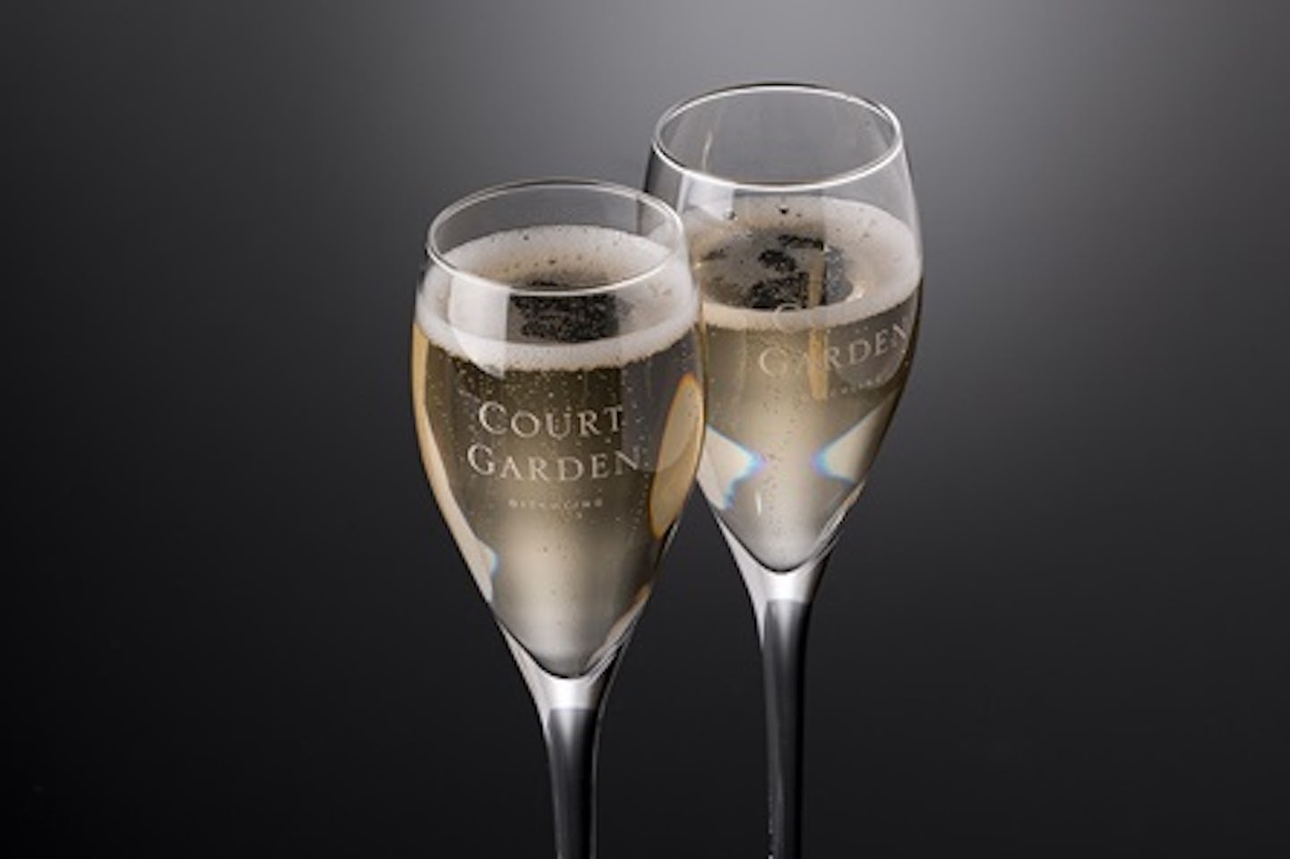 Sparkling Wine Tour with Tastings for Two