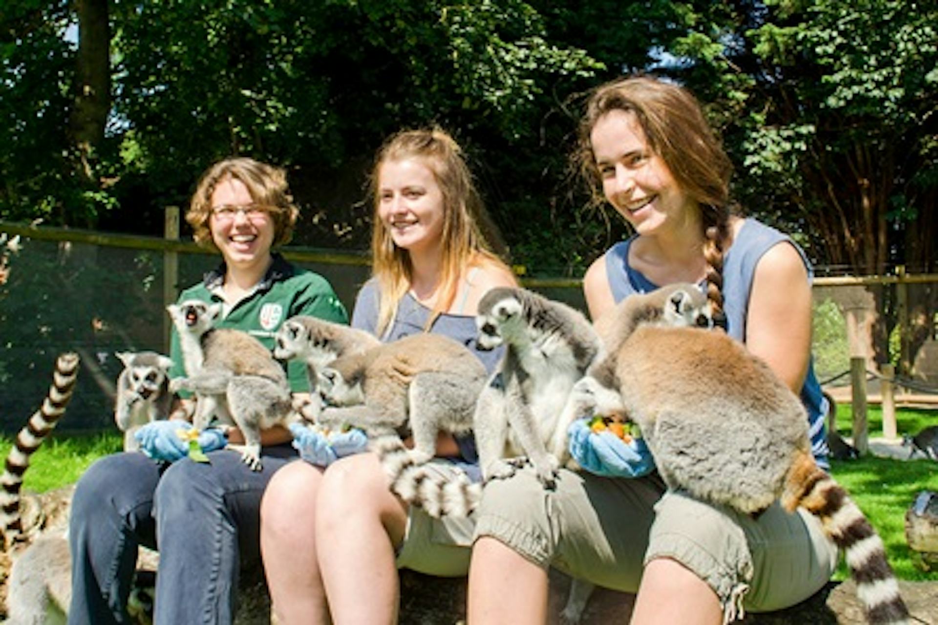 Animal Encounter at Flamingo Land Theme Park and Zoo for One