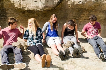 Animal Encounter at Flamingo Land Theme Park and Zoo for One 2