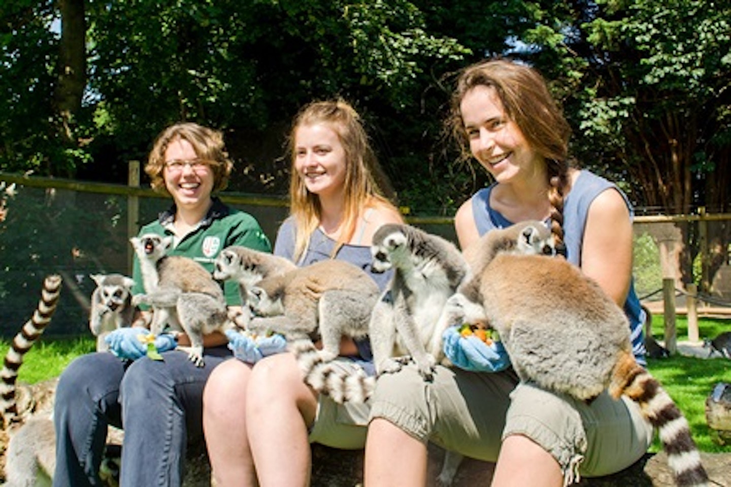 Animal Encounter at Flamingo Land Theme Park and Zoo for Two 2