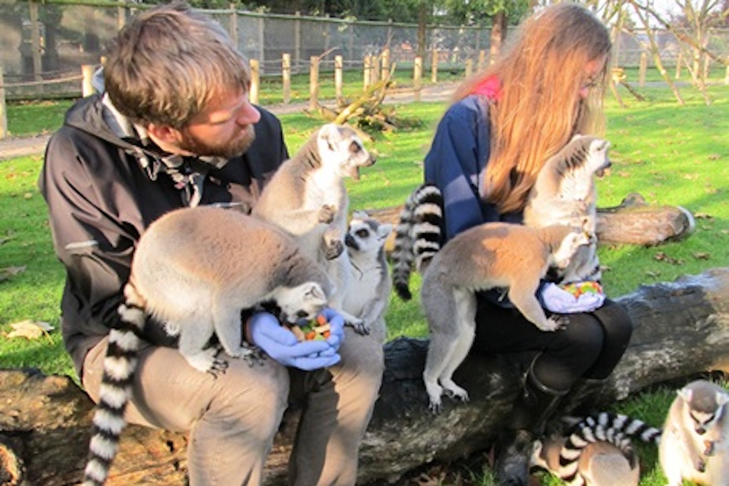 Be a Zoo Keeper for the Day at Flamingo Land Zoo 2