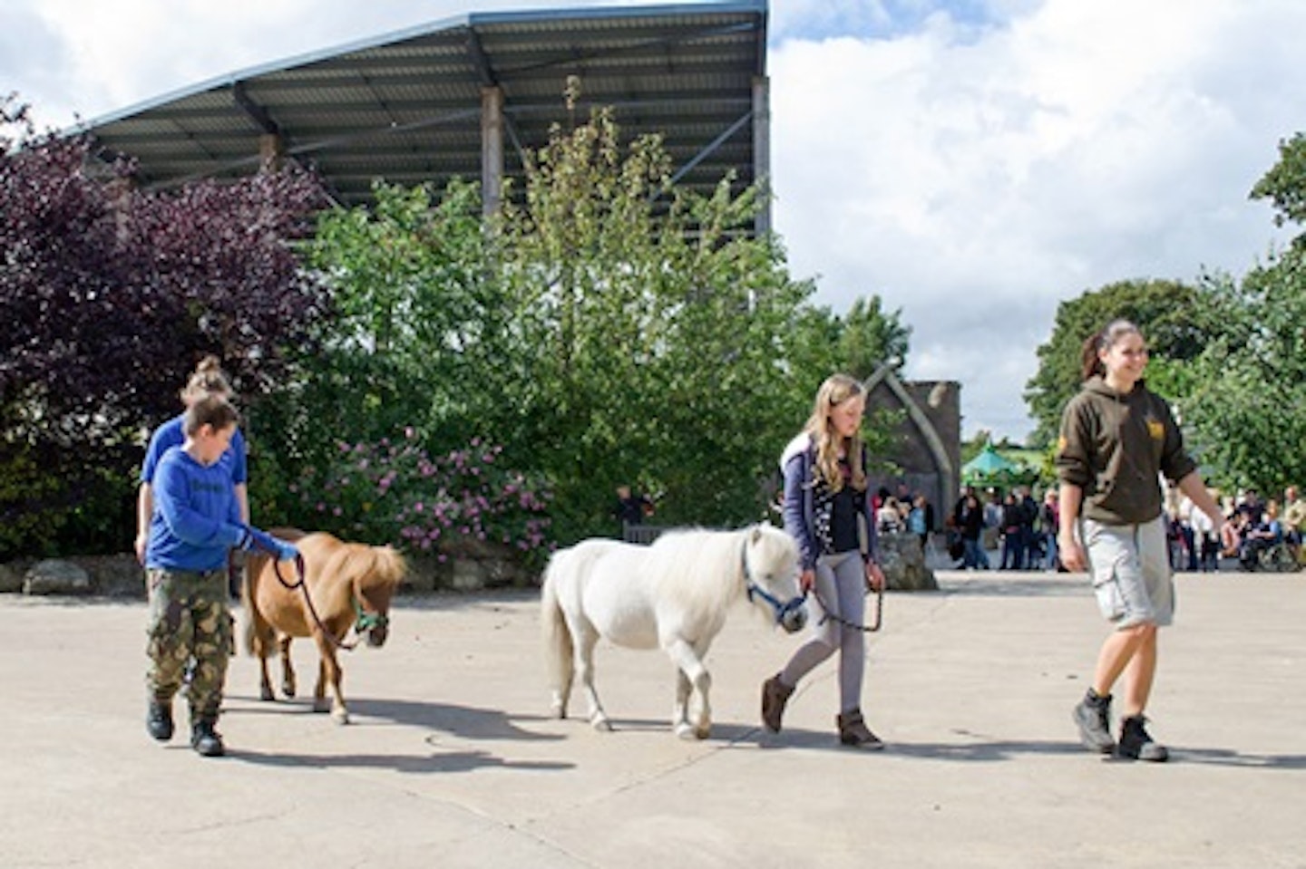 Be a Zoo Keeper for the Day at Flamingo Land Zoo 3