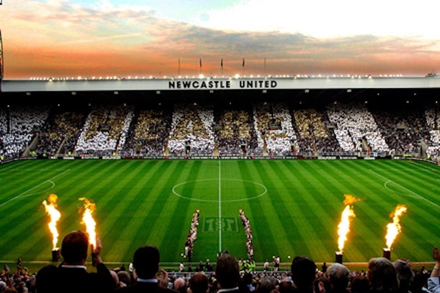 Newcastle United Stadium Tour for One Adult 2