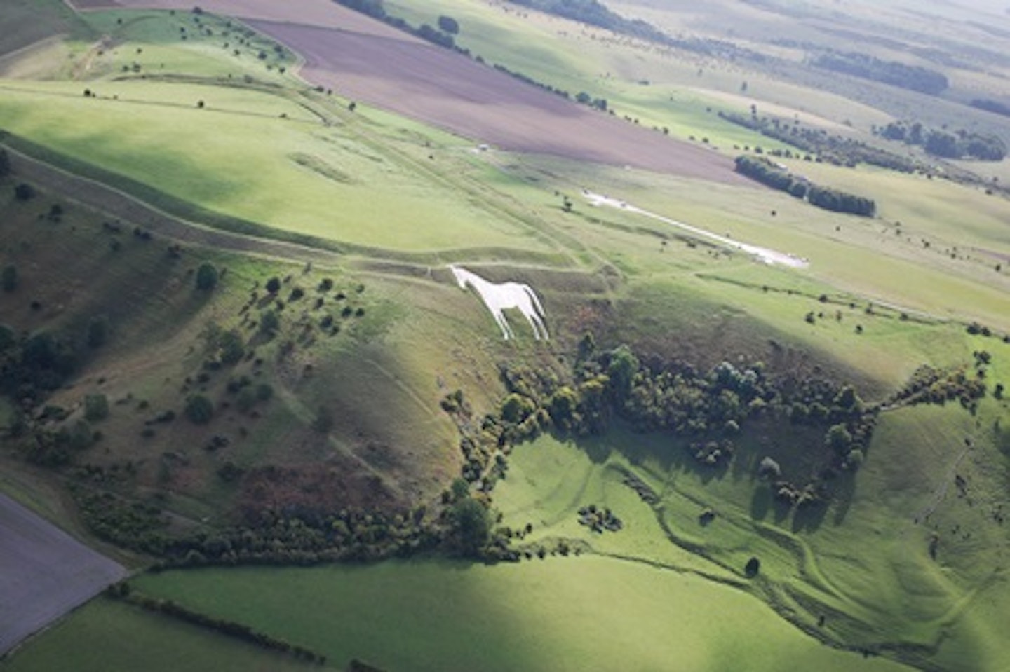 Themed Helicopter Pleasure Flight for One - 30 minutes
