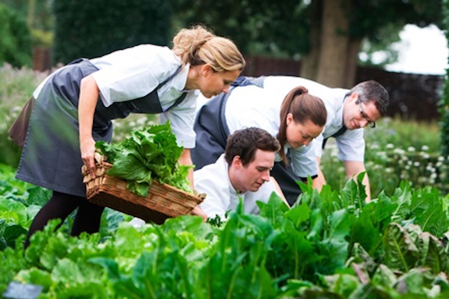 One Day Course at the Raymond Blanc Cookery School at Belmond Le Manoir