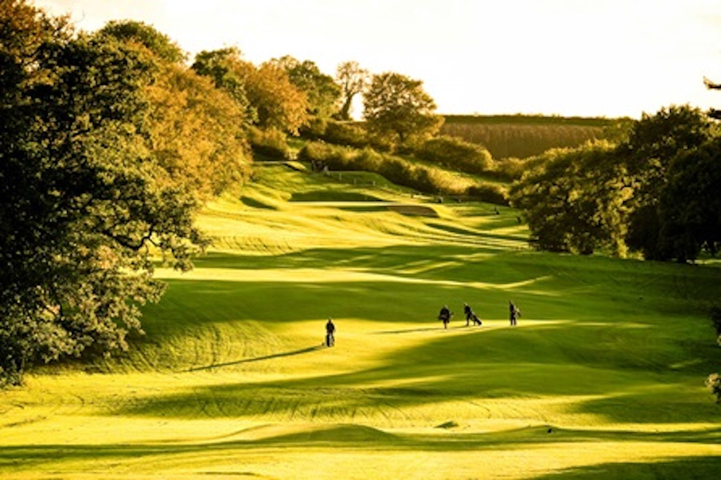 Lesson or 18 Hole Round of Golf at a Marriott Hotel Course