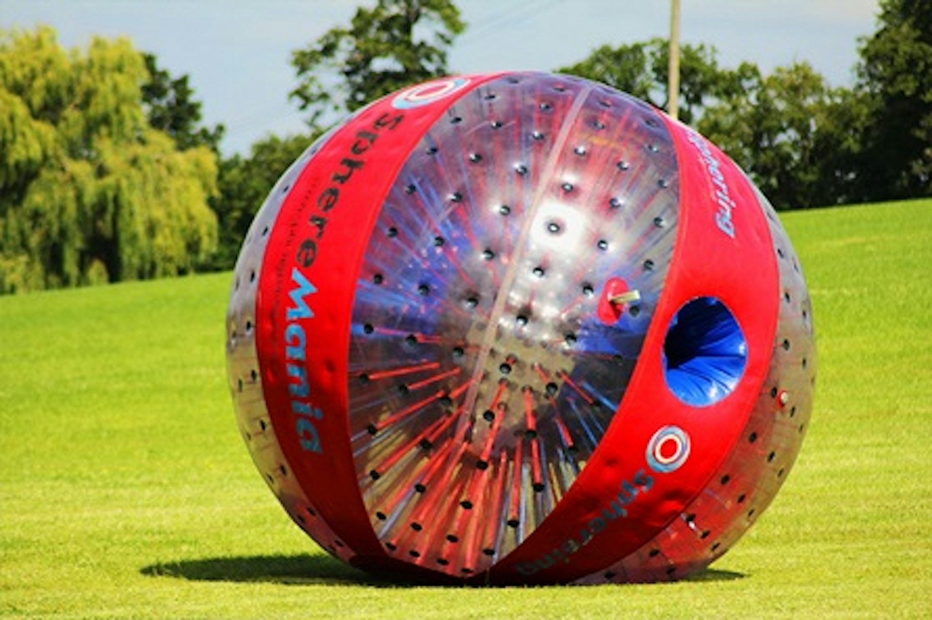 Harness Zorbing for One 1