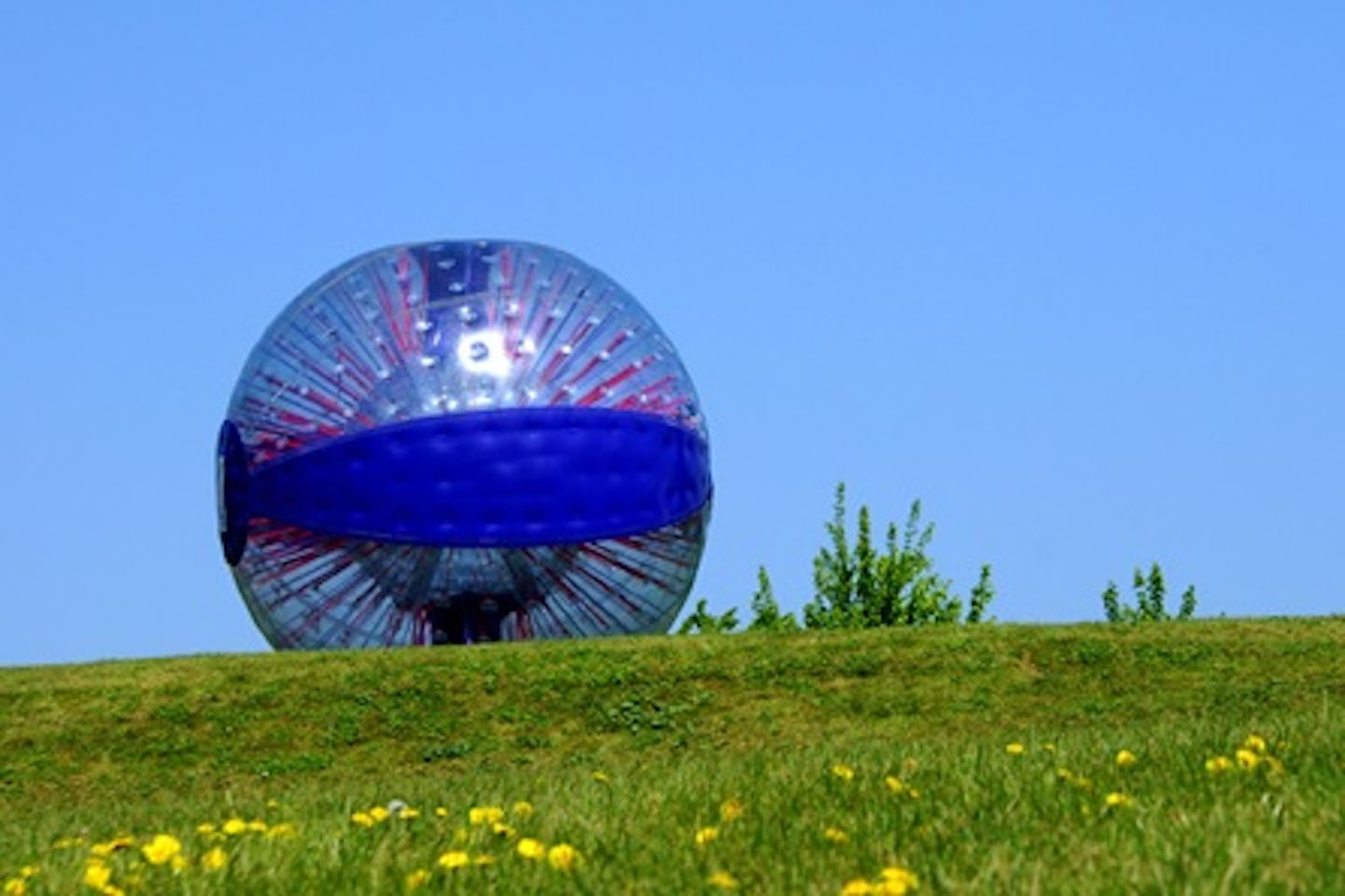 Zorbing Choice for Two