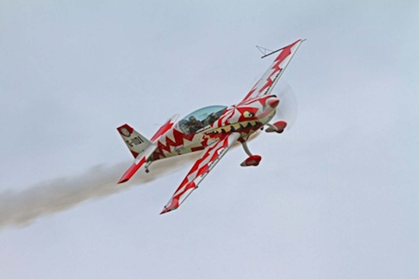 Utter Nutter Extreme Aerobatic Flight