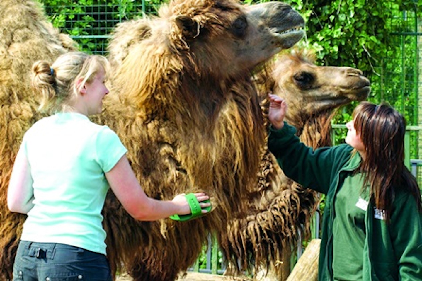 Shadow a Zookeeper for a Day 1