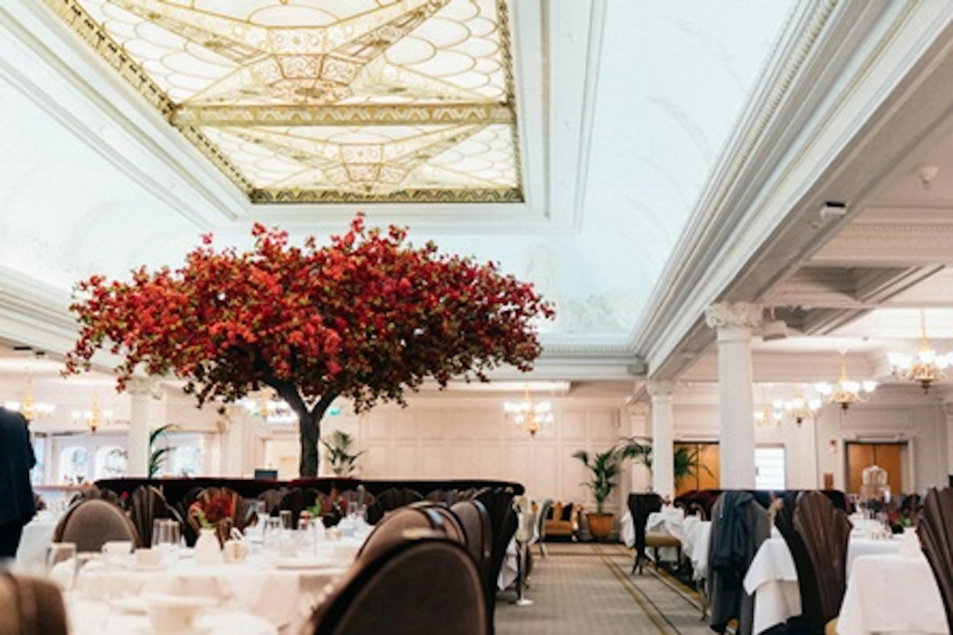 Champagne Afternoon Tea for Two at The Harrods Tea Rooms 4