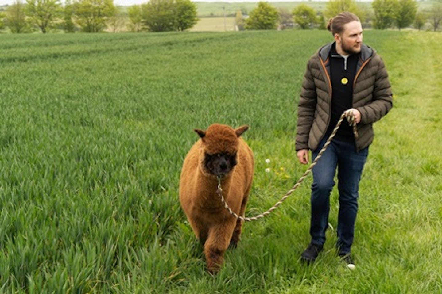 Alpaca Trekking and Entry to Eagle Heights Wildlife Foundation for Two