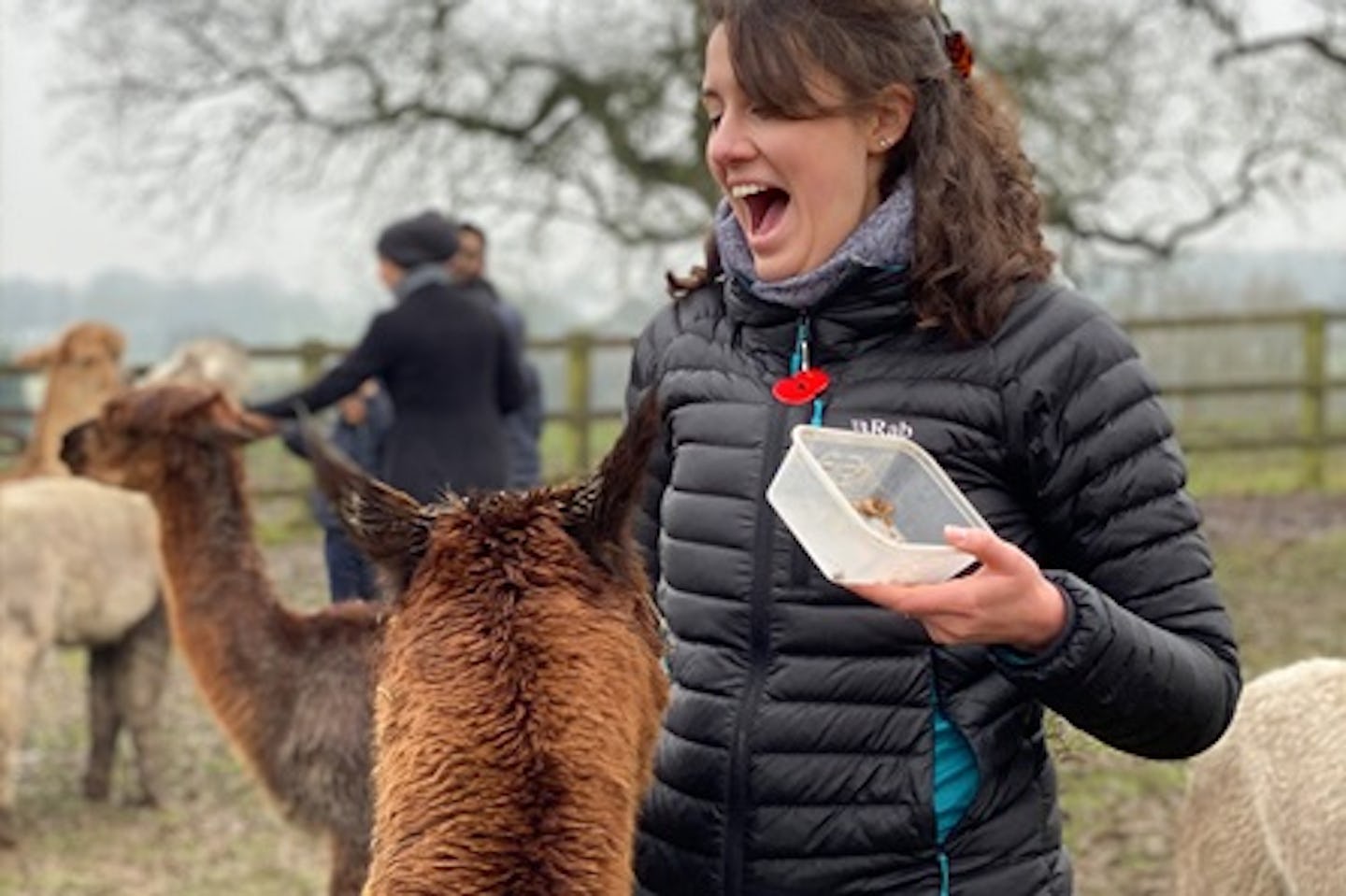 Alpaca Walking Experience for Two at Middle England Farm