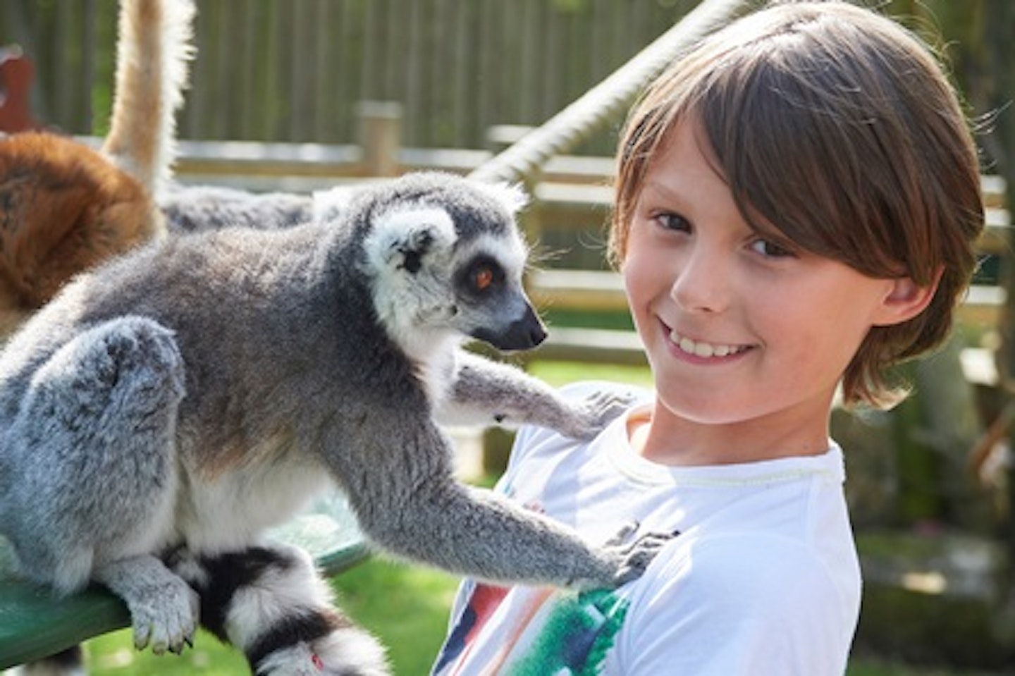 Animal Encounter at Drusillas Park 1