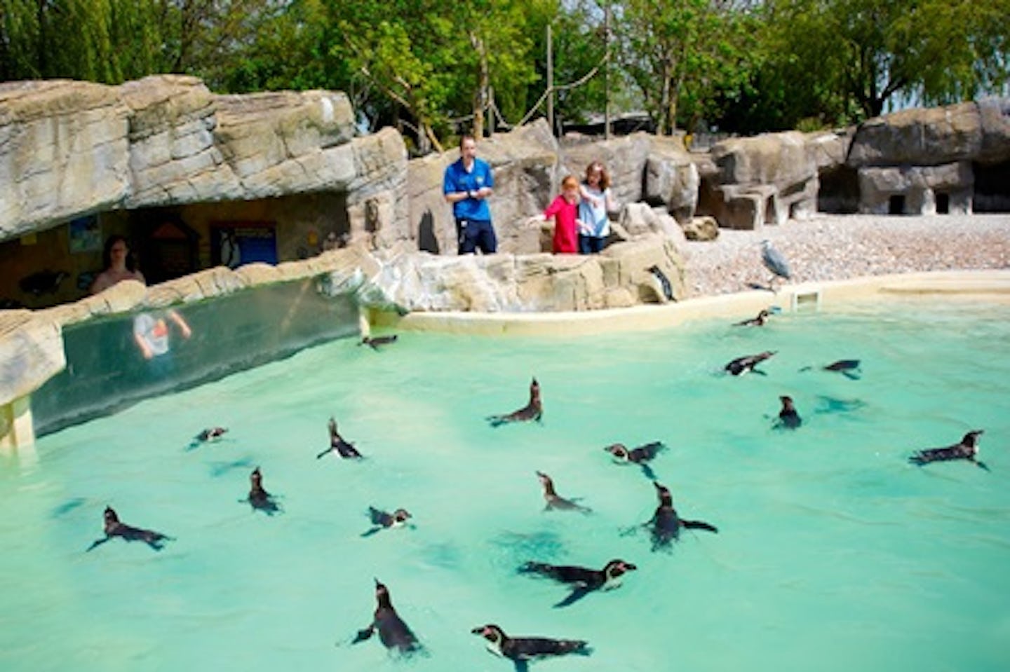 Animal Encounter at Drusillas Park