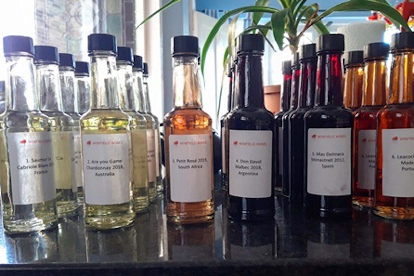 At Home Wine Tasting with Six Bottles and Online Tutorial