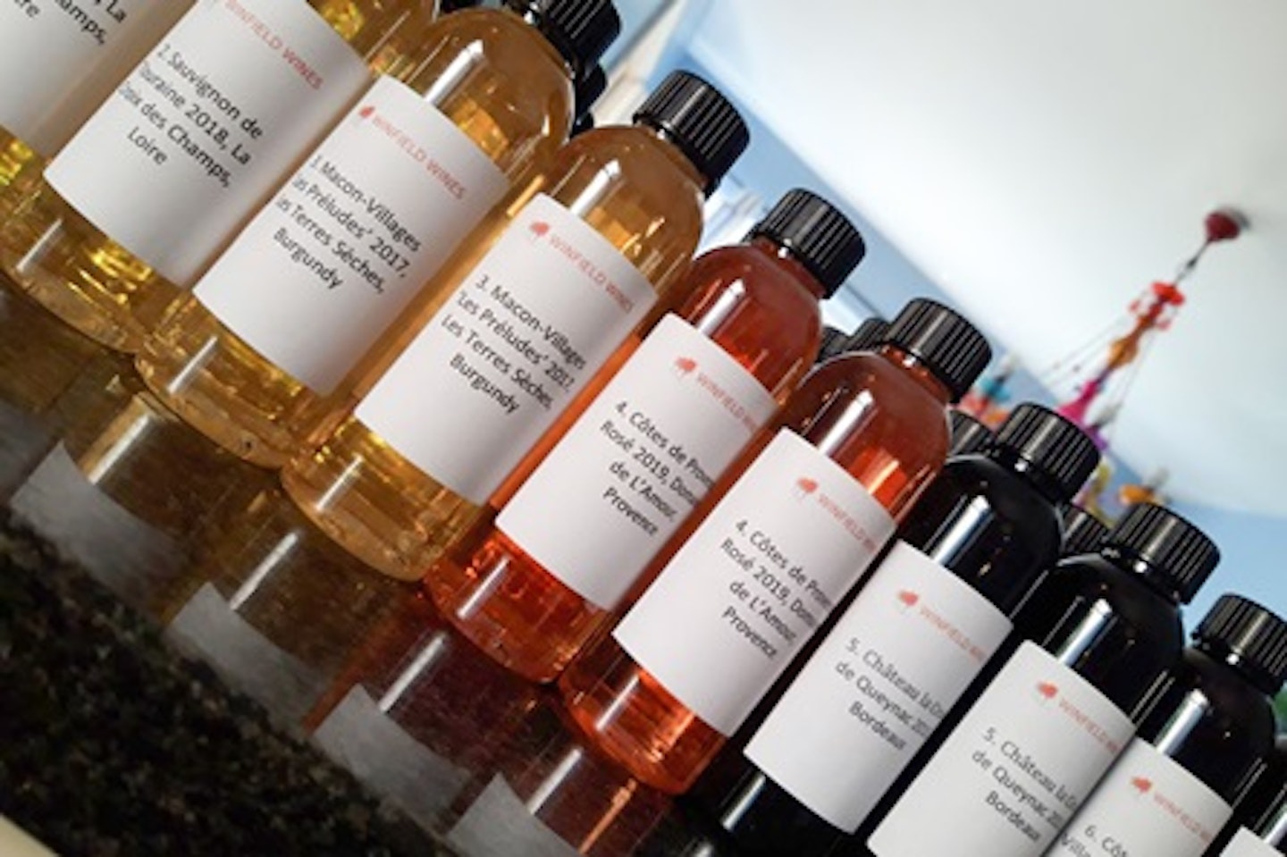 At Home Wine Tasting with Six Bottles and Online Tutorial