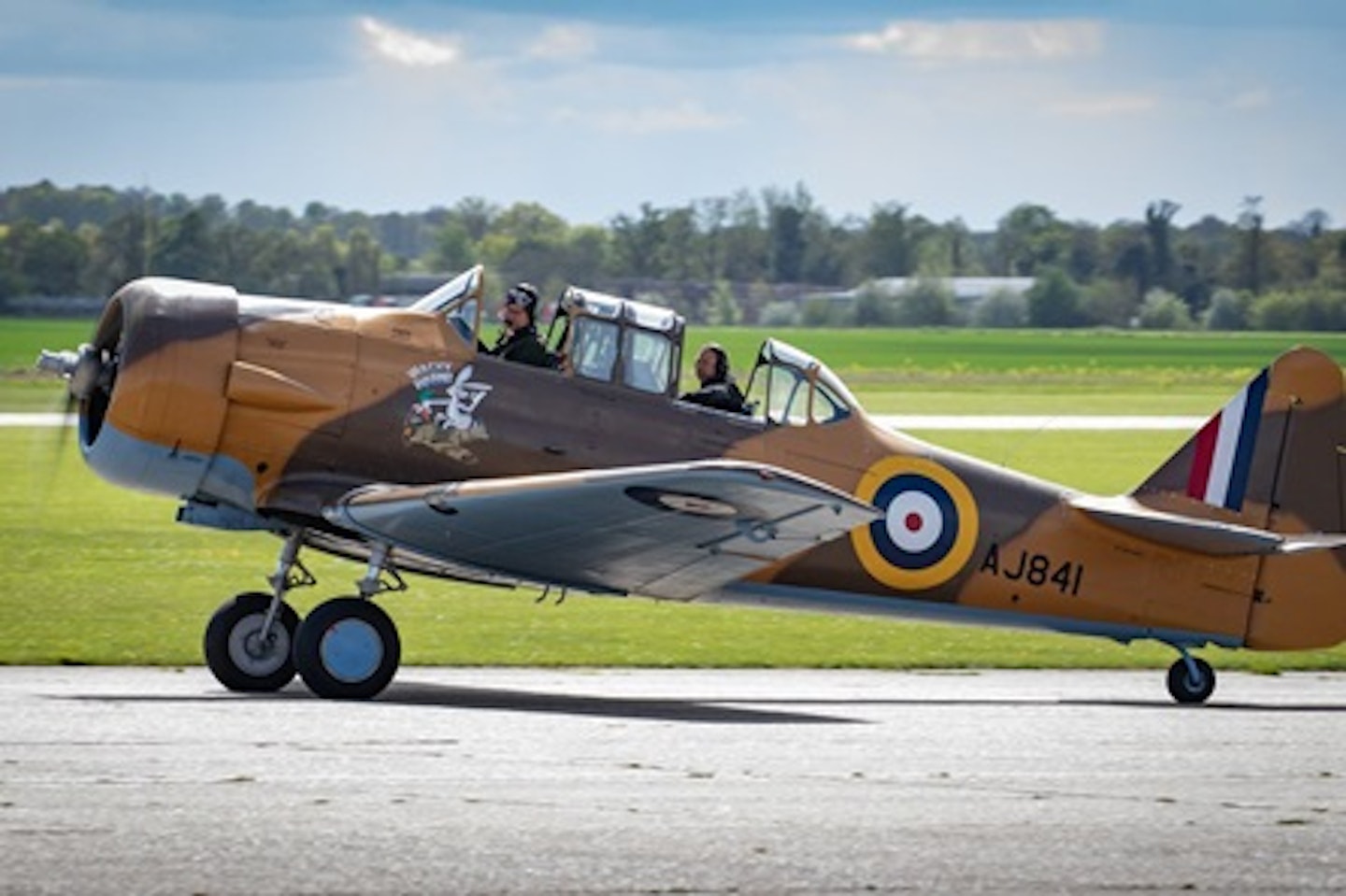 Battle of Britain Harvard Warbird Fighter Mission 4